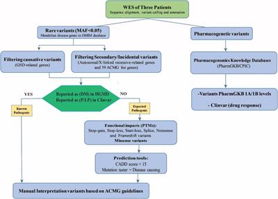 Whole-Exome Sequencing Uncovers Novel Causative Variants and Additional Findings in Three Patients Affected by Glycogen Storage Disease Type VI and Fanconi−Bickel Syndrome